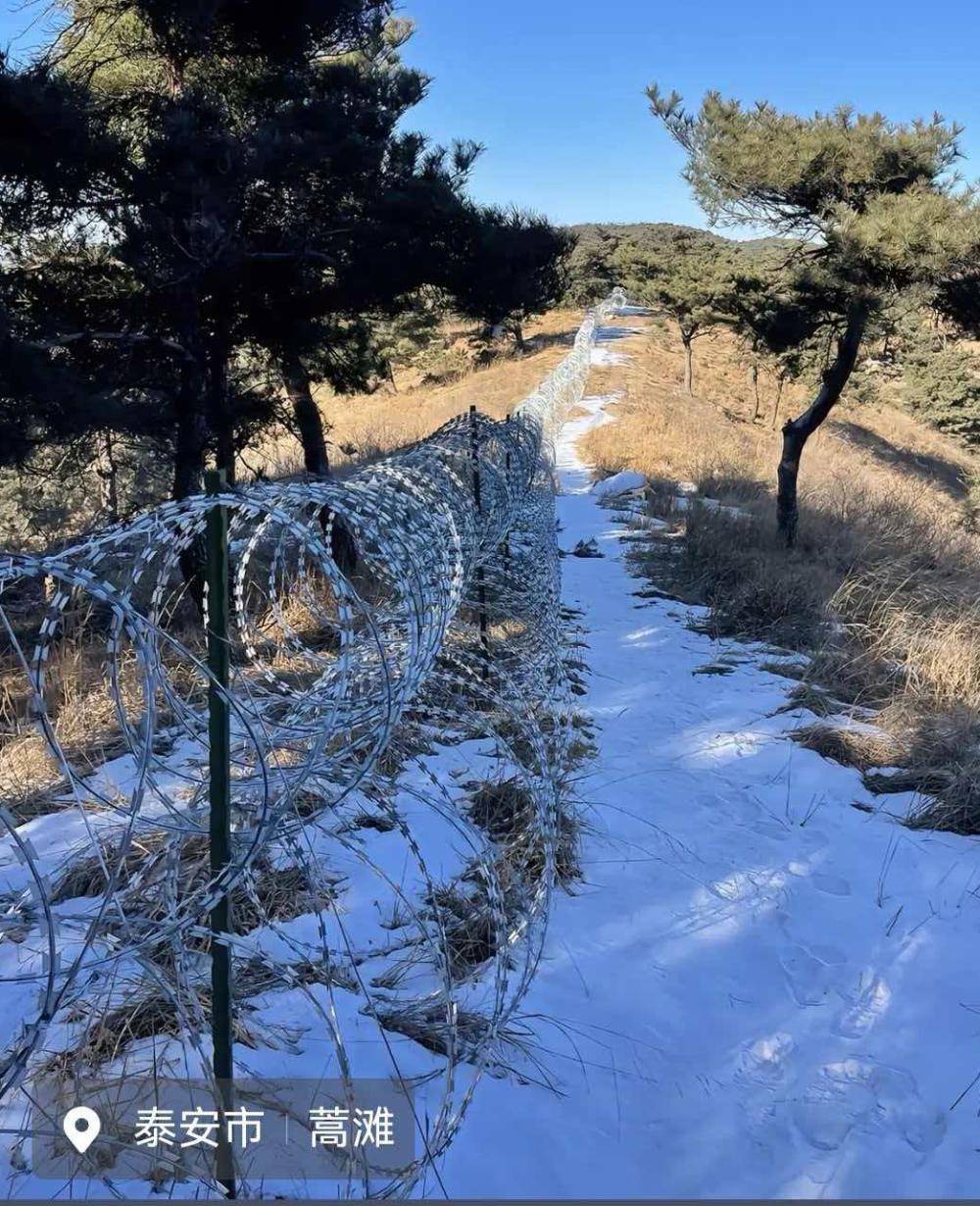 泰山周围建起135公里刀片刺绳铁丝网,“天下第一山”何至于被如此“圈禁”